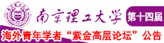 插鸡视频在线观看十八进南京理工大学第十四届海外青年学者紫金论坛诚邀海内外英才！